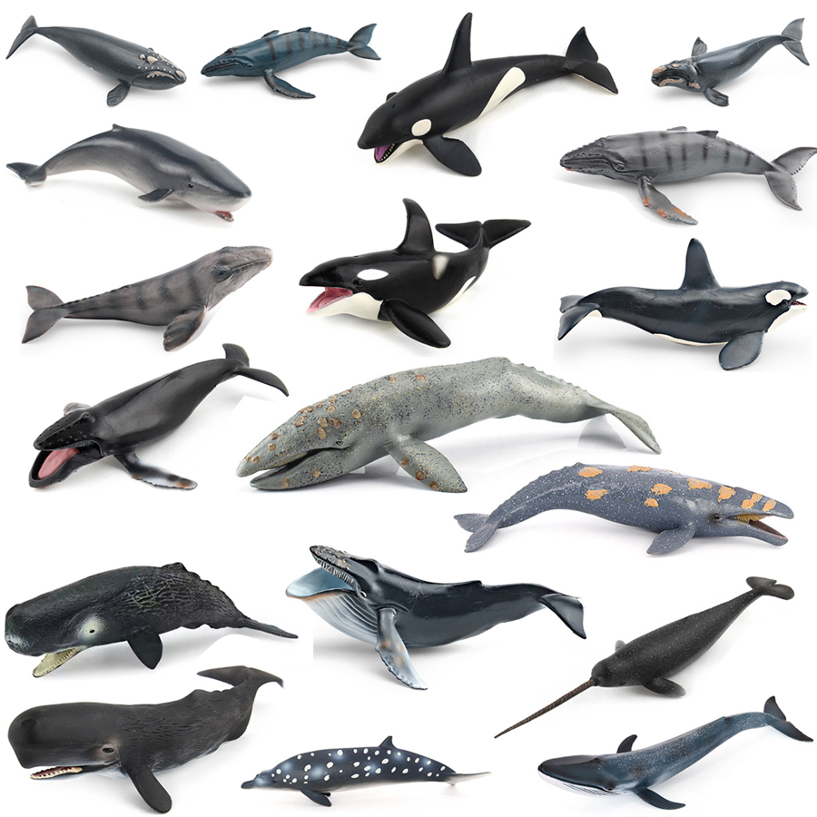 Kids Educational Device - Model Hewan Laut Realistis: Paus Humpback,